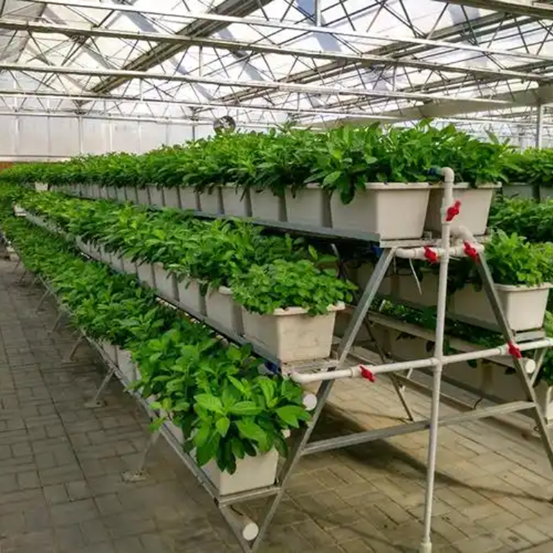 吉安市植物工厂种植槽 - 推荐